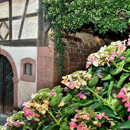 Bed & Breakfast Le Quinze 66 Monswiller