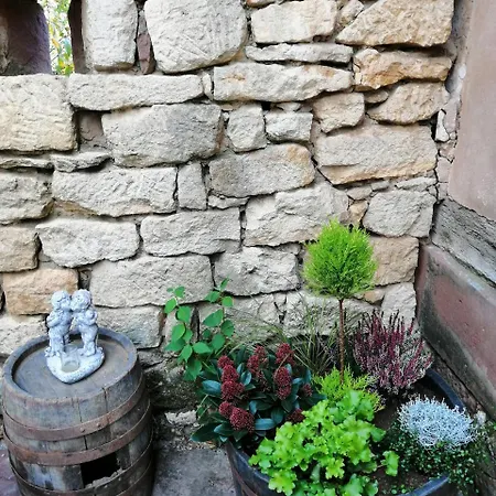 Bed & Breakfast Le Quinze 66 *